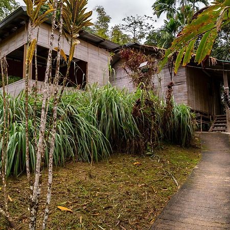Rain Forest Inn Ringlet Экстерьер фото