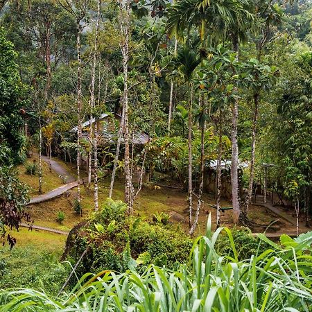 Rain Forest Inn Ringlet Экстерьер фото