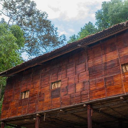 Rain Forest Inn Ringlet Экстерьер фото