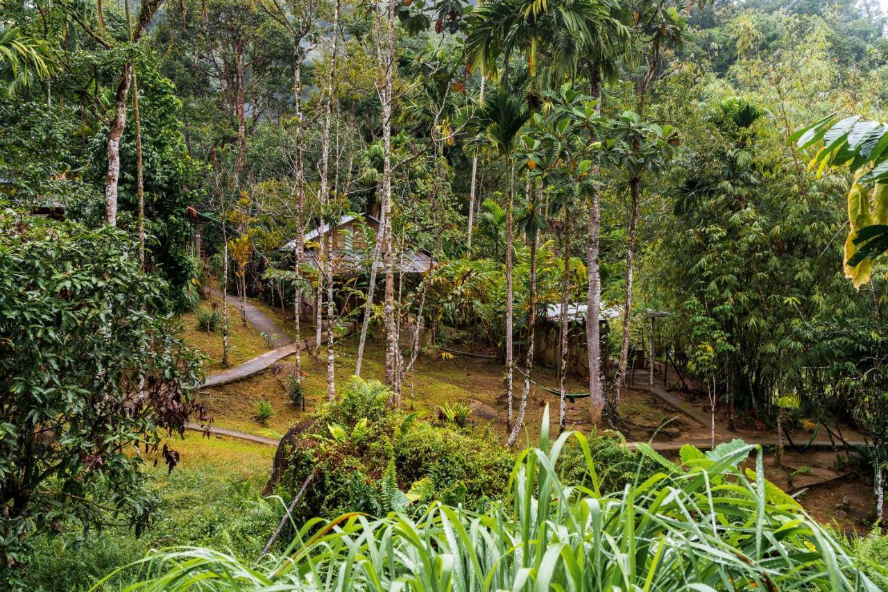 Rain Forest Inn Ringlet Экстерьер фото