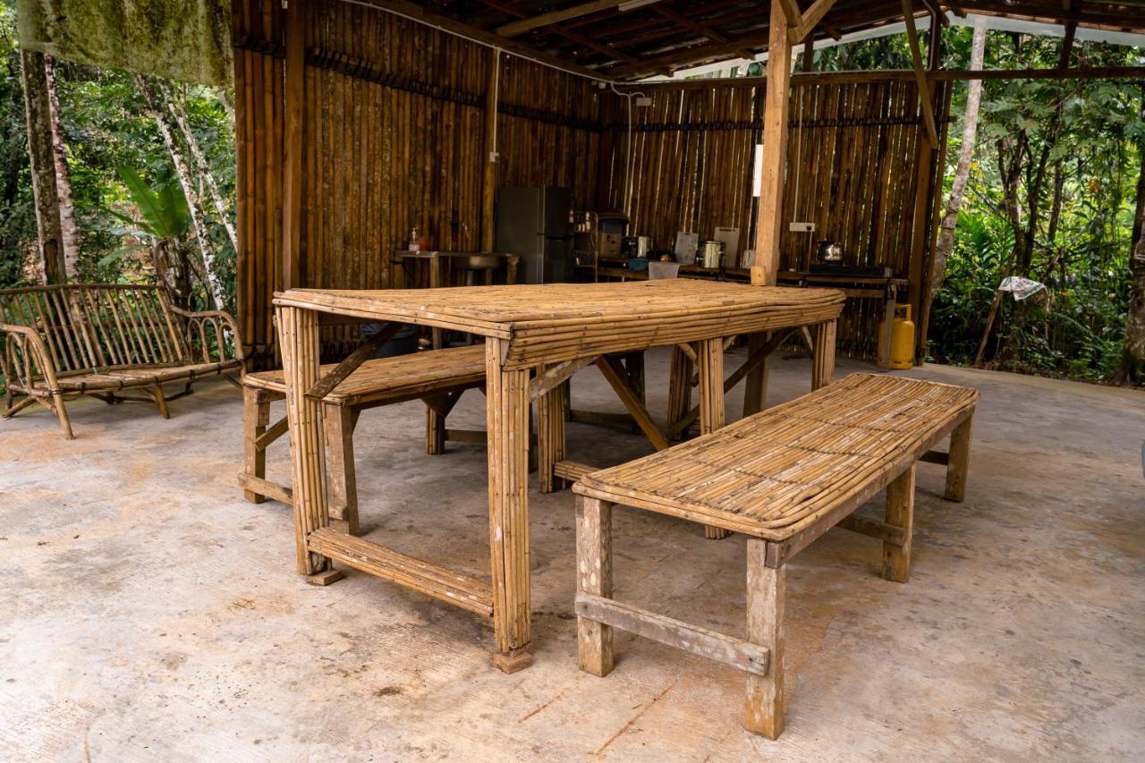 Rain Forest Inn Ringlet Экстерьер фото