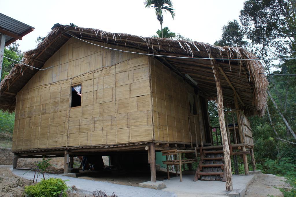 Rain Forest Inn Ringlet Экстерьер фото