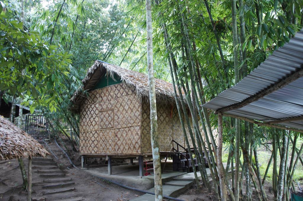Rain Forest Inn Ringlet Экстерьер фото