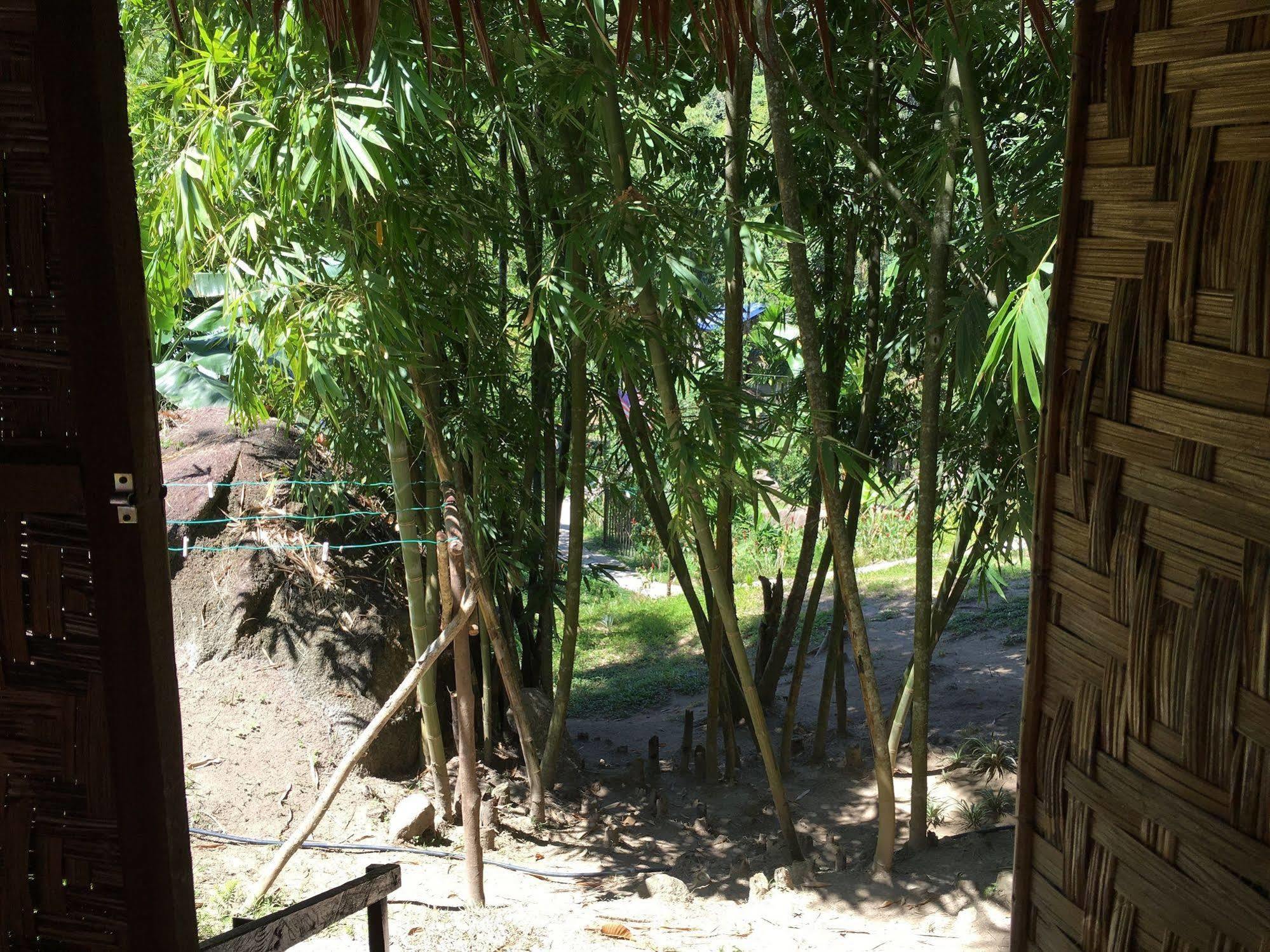 Rain Forest Inn Ringlet Экстерьер фото